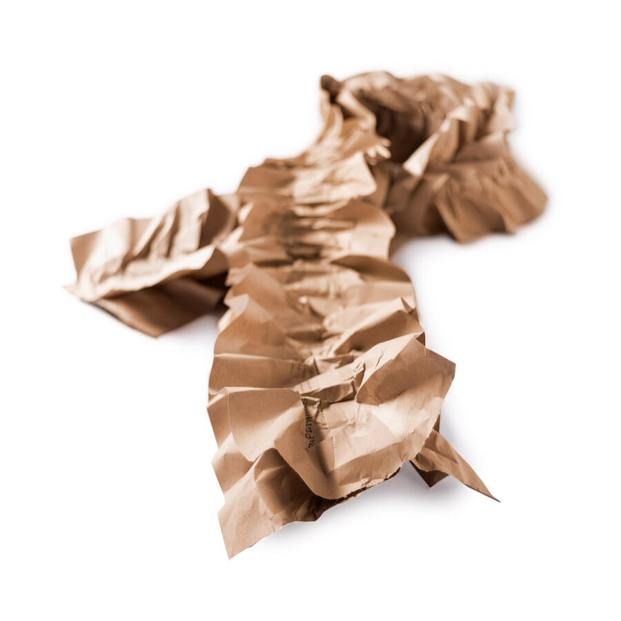PAPERplus Dragonfly - papierová výplň